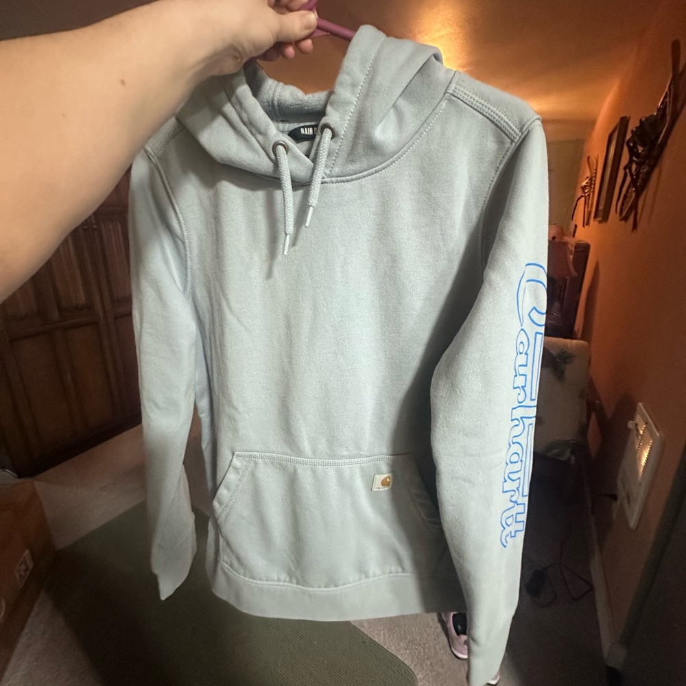 Carhartt Light Sage Hooded Pullover with Sleeve Logo